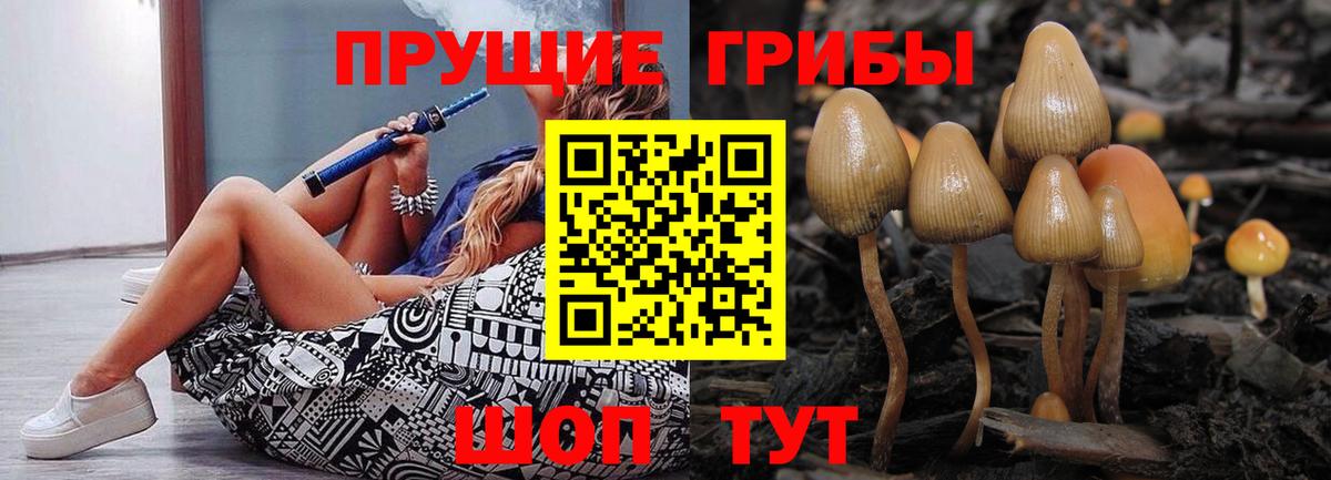 Псилоцибиновые грибы мицелий Ялта